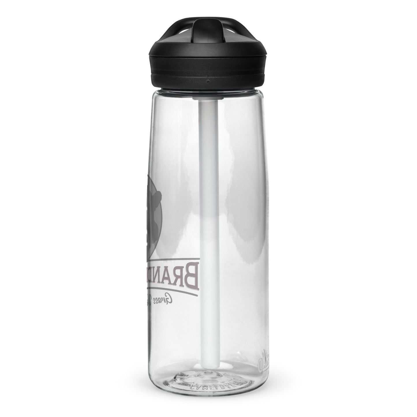 Sports water bottle